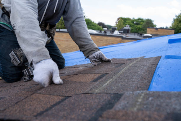 Best Roof Waterproofing Services  in Ivanhoe, TX
