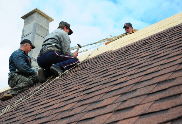 Best Gutter Installation and Roofing  in Ivanhoe, TX