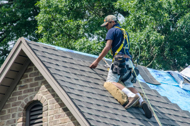 Roof Waterproofing Services in Ivanhoe, TX