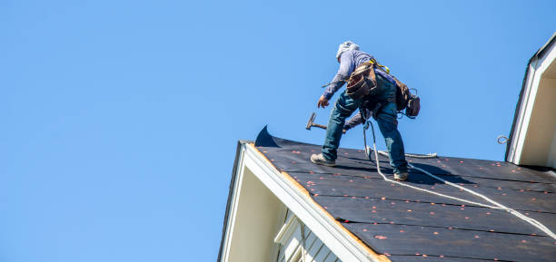 Best Roof Waterproofing Services  in Ivanhoe, TX